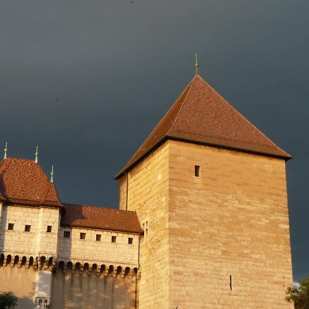 Appartement Dans La Vieille Ville, En Face Du Chateau Annecy Luaran gambar