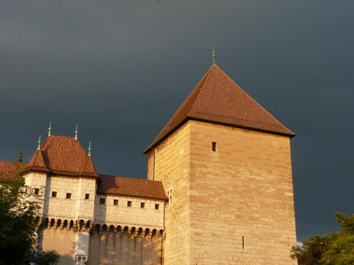 Appartement Dans La Vieille Ville, En Face Du Chateau Annecy Luaran gambar