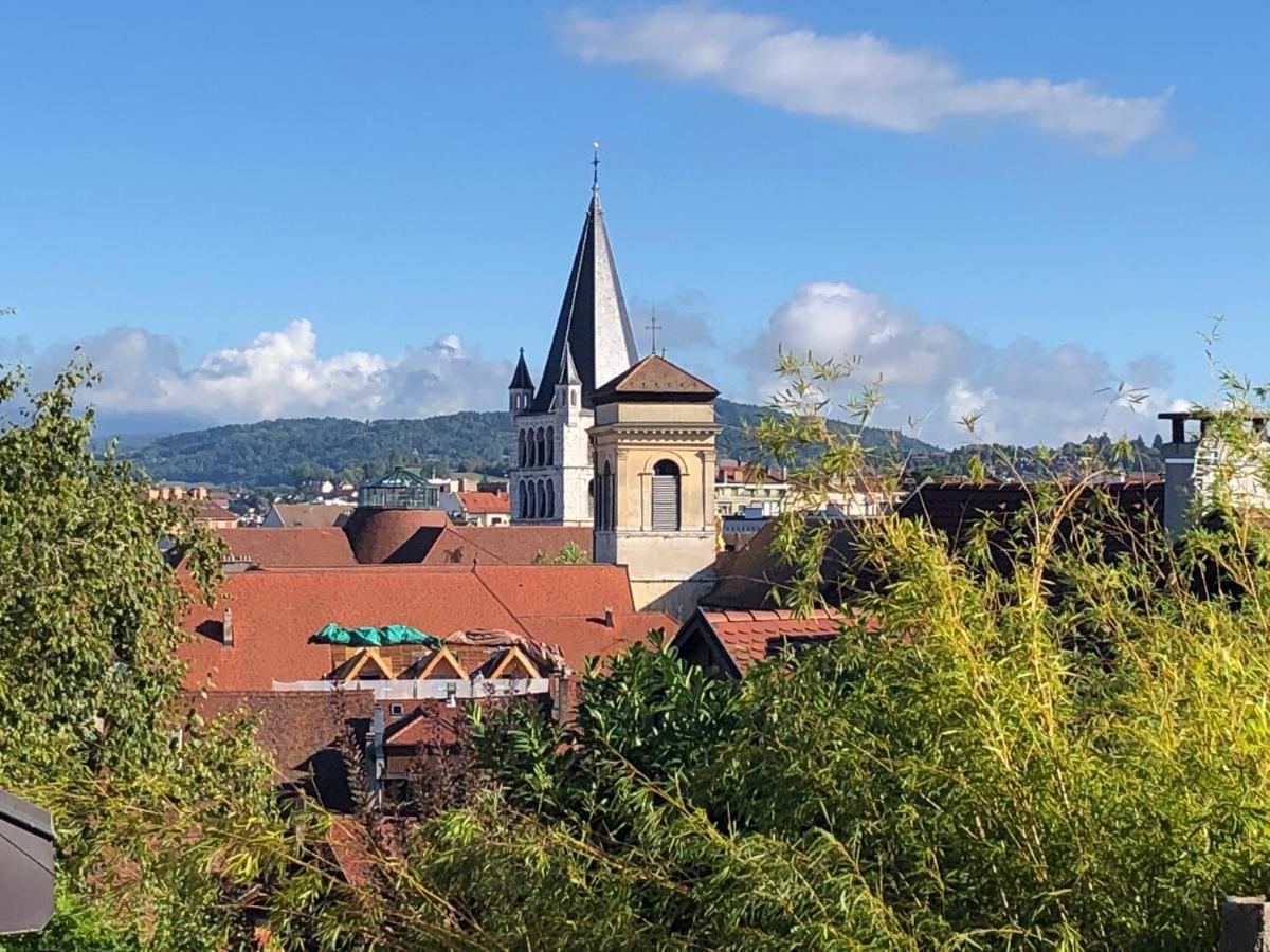 Appartement Dans La Vieille Ville, En Face Du Chateau Annecy Luaran gambar