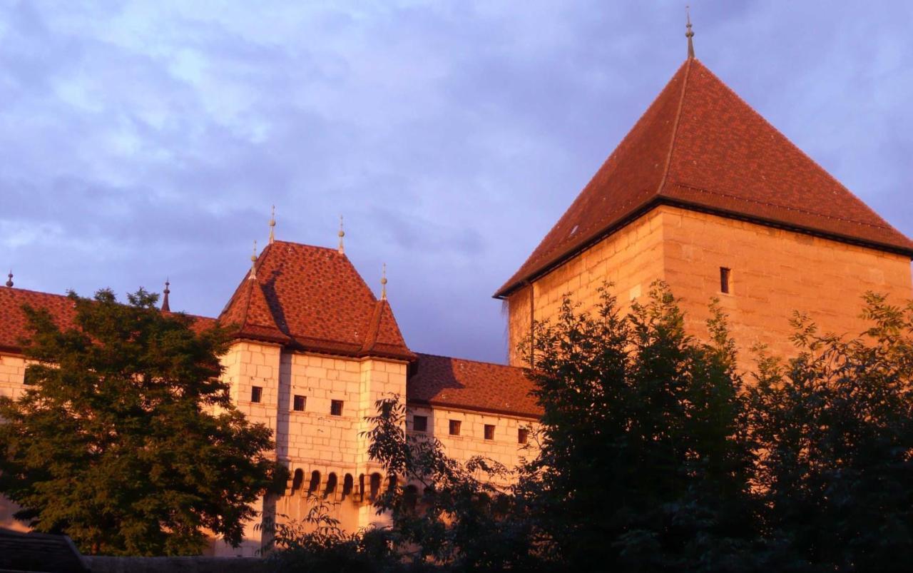 Appartement Dans La Vieille Ville, En Face Du Chateau Annecy Luaran gambar
