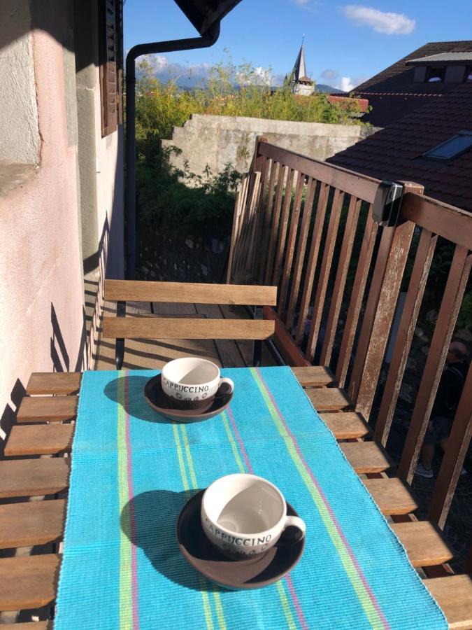 Appartement Dans La Vieille Ville, En Face Du Chateau Annecy Luaran gambar